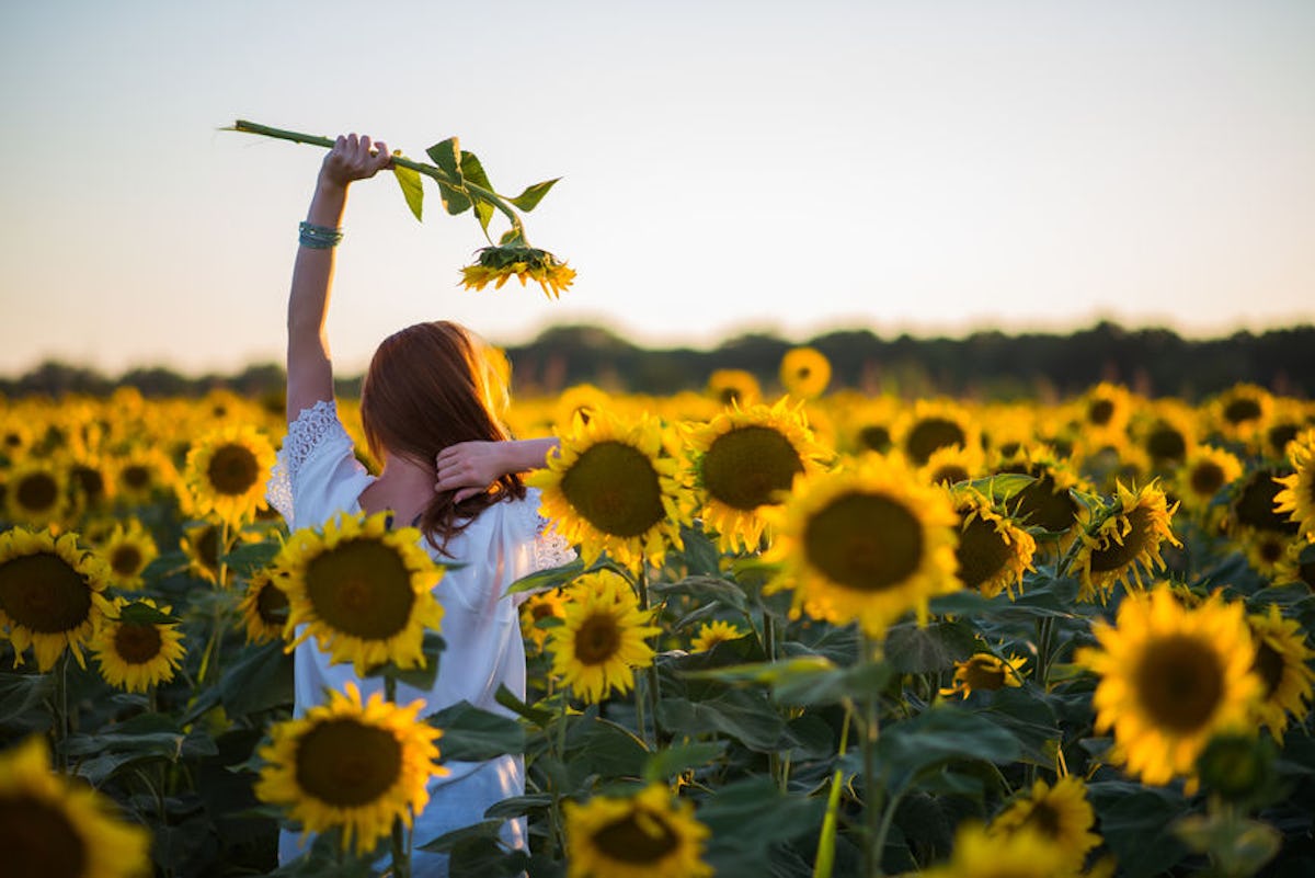25 Instagram Captions For Flower Fields With Your Best Buds