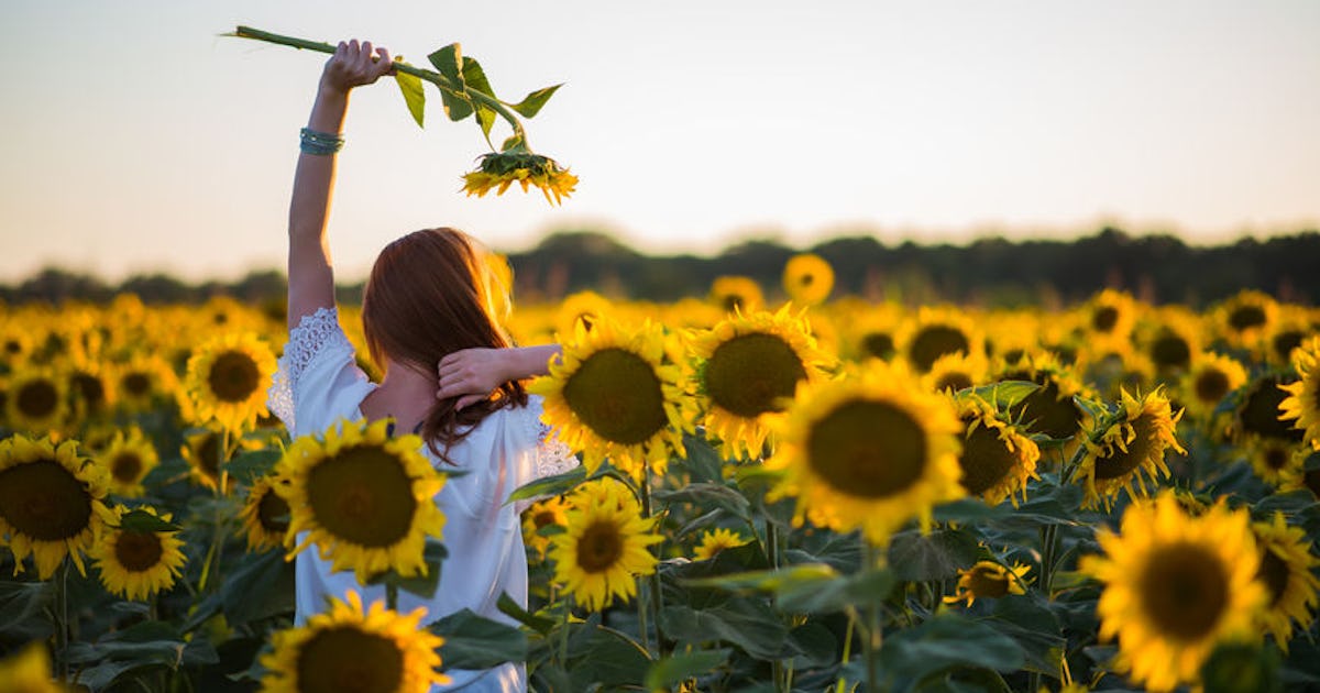 Flower Field Instagram Captions For Pics With Your Best Buds Flower Field Instagram Captions For Pics With Your Best Buds