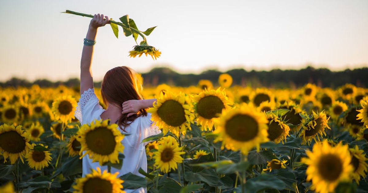 Flower Field Instagram Captions For Pics With Your Best Buds Flower Field Instagram Captions For Pics With Your Best Buds