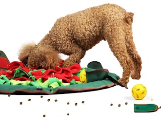 SNIFFiz Dog Food Puzzle Mat
