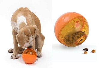 Our Pets IG Treat Ball 