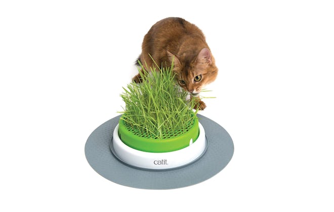 Catit Senses 2.0 Grass Planter