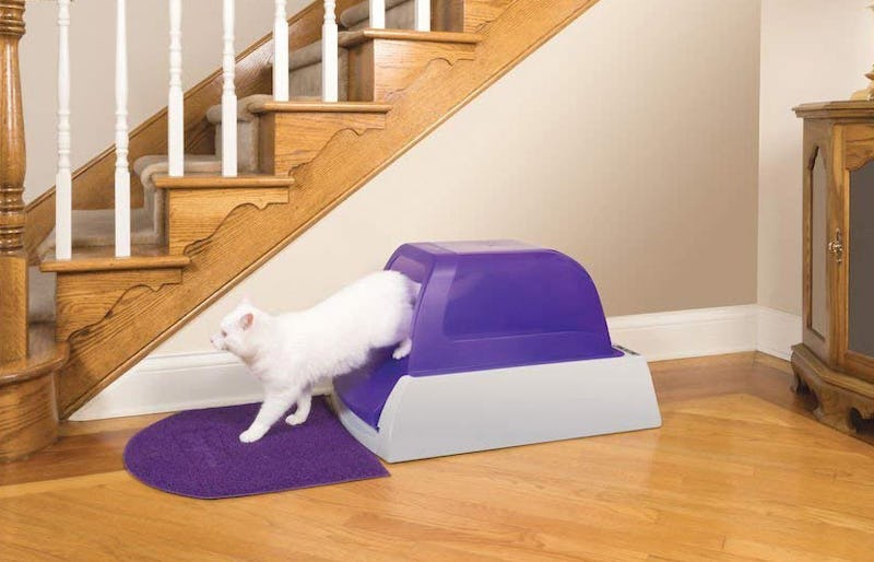 The 5 Best Cat Litter Boxes For Odor Control
