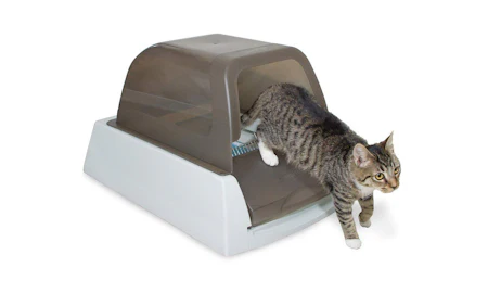 best cat litter box for odor control best cat litter box for odor control