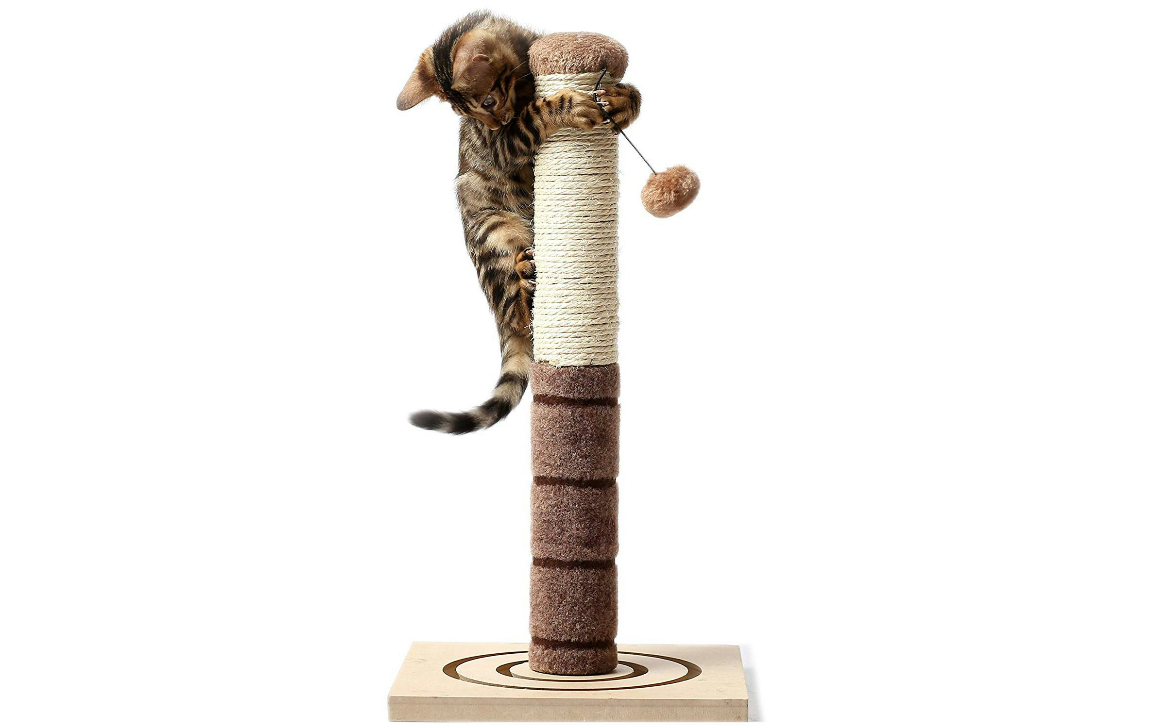 The 8 Best Toys For Cats Home Alone