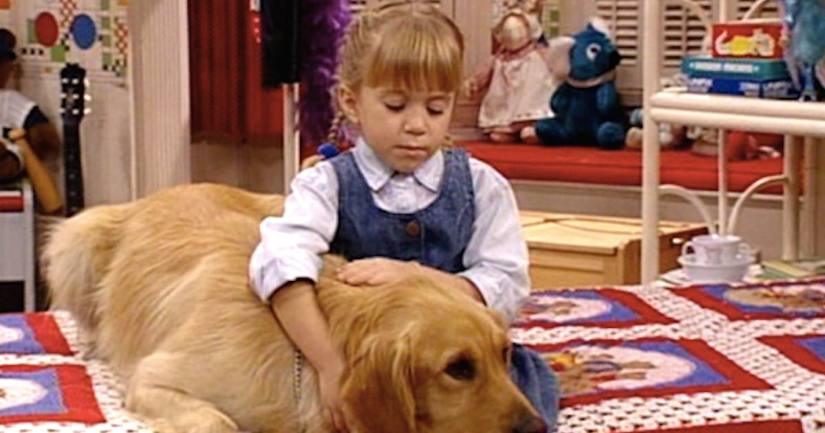 7 Comet Moments From 'Full House' That Prove He’s The Best Dog