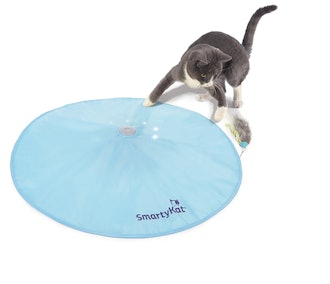 SmartyKat Hot Pursuit Concealed Motion Cat Toy