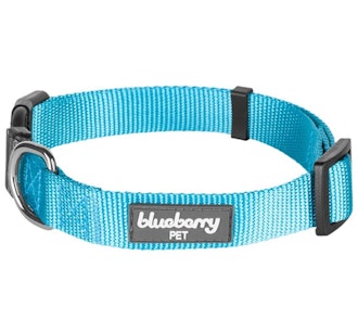 Blueberry Pet Classi Dog Collar