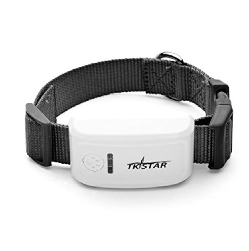 The 6 Best Collars For Puppies