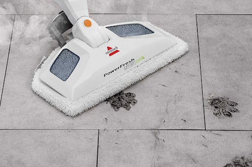 best steam mops for pets