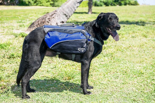 2Pet Dog Backpack With Saddlebag