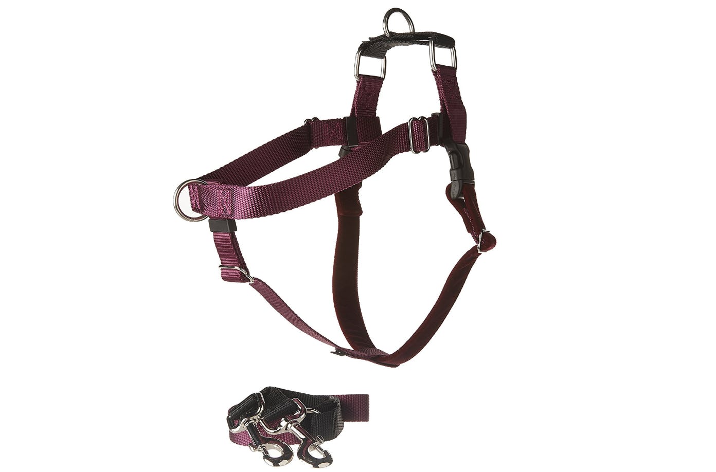 The 5 Best Harnesses For Large Dogs
