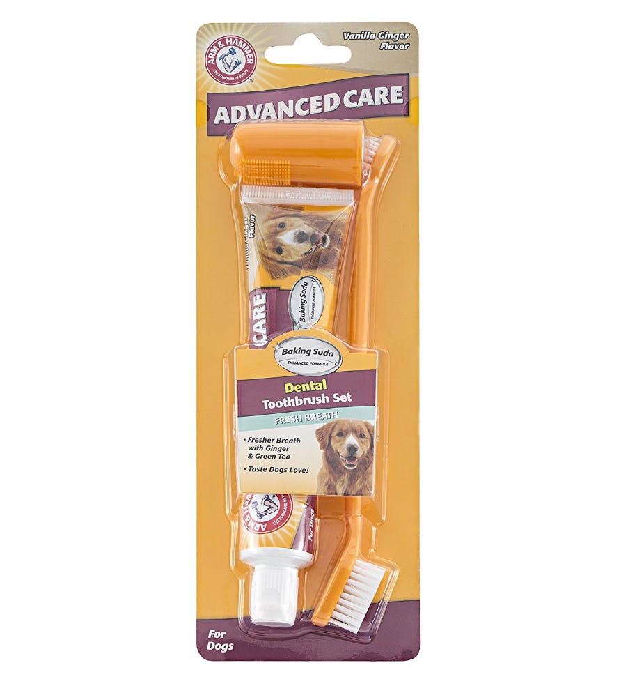 The 4 Best Toothpaste For Dogs