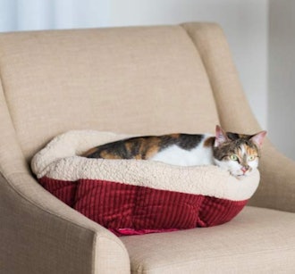 Aspen Pet Self Warming Bed