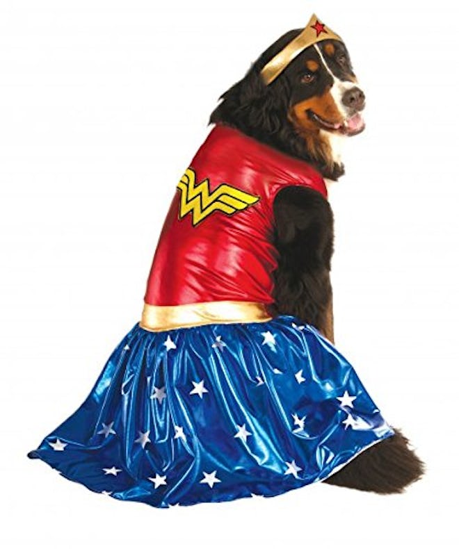 Rubie's Big Dogs Wonder Woman Dog Costume