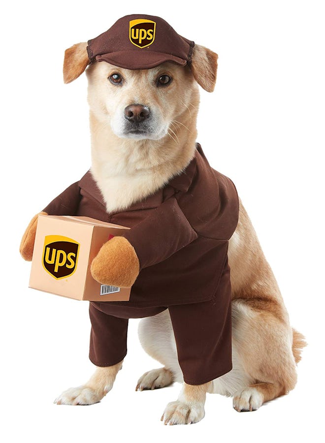 California Costumes UPS Pal Pet Costume