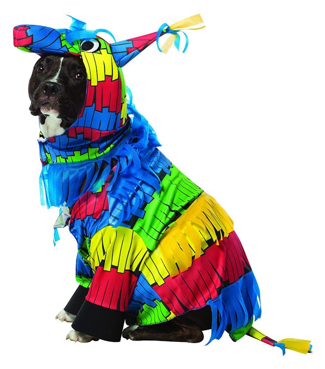 Rasta Imposta Piñata  Dog Costume