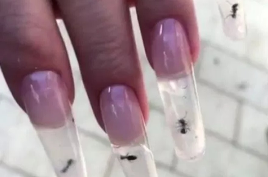 Ant Nail Art: Russian Manicure with a Playful Touch - wide 3