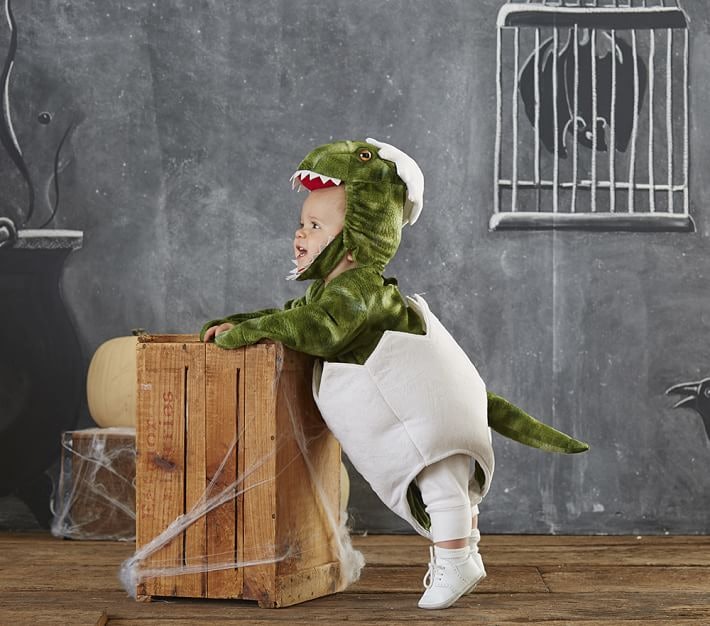 10 Pottery Barn Kids Halloween Costumes So Cute It S Scary