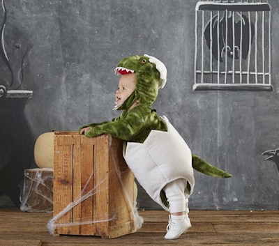 Baby Dinosaur Egg Costume