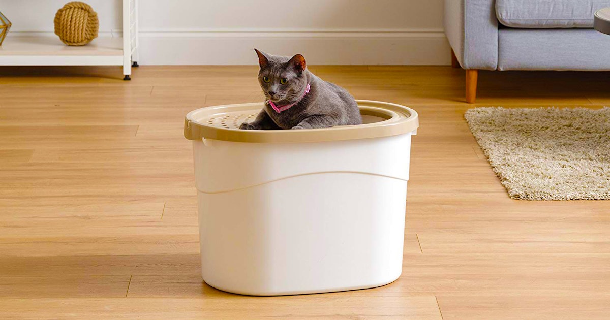 The 4 Best Litter Boxes For Cats That Spray