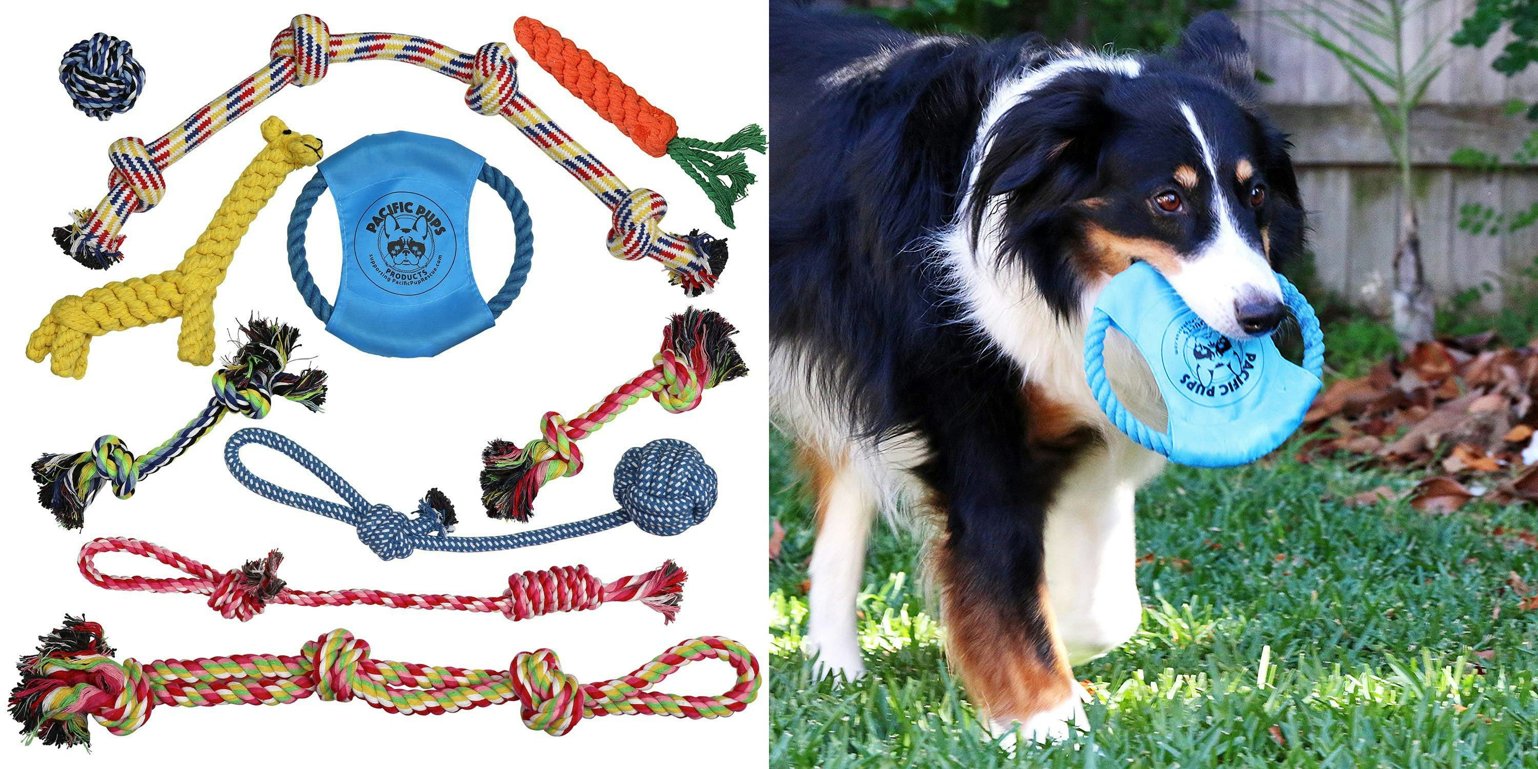 Strong Dog Toys Australia Wow Blog