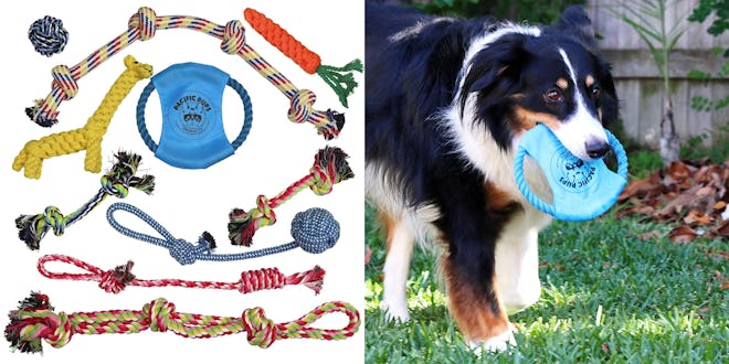 Pacific Pups Products Rope Toys (Set Of 11)