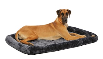 MidWest Homes For Pets Deluxe 54-Inch Pet Bed