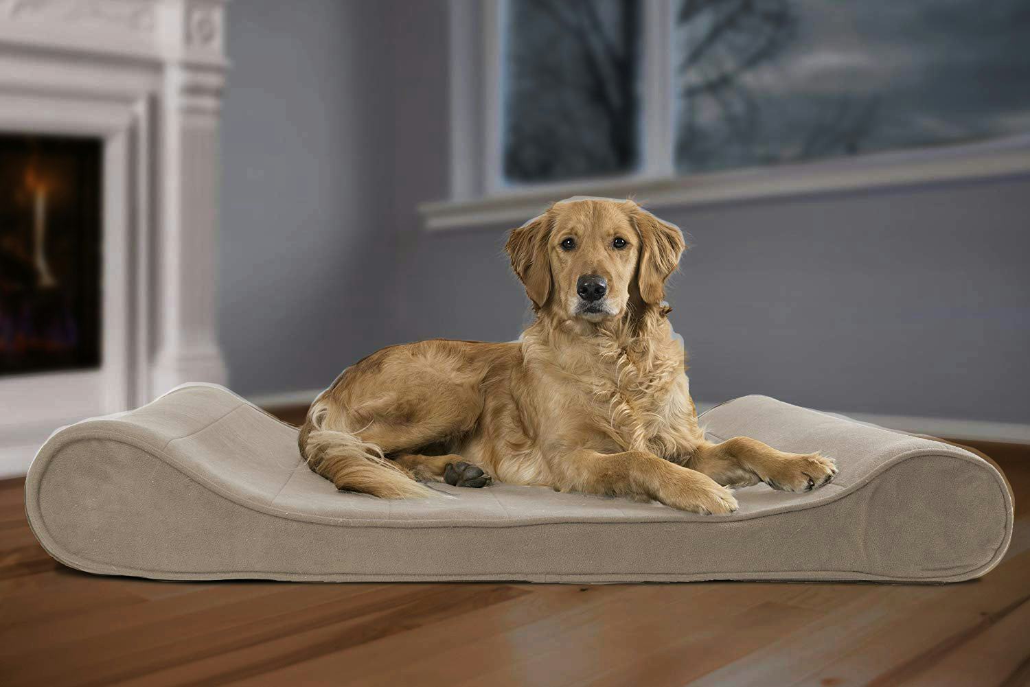 The 6 Best Cheap Dog Beds