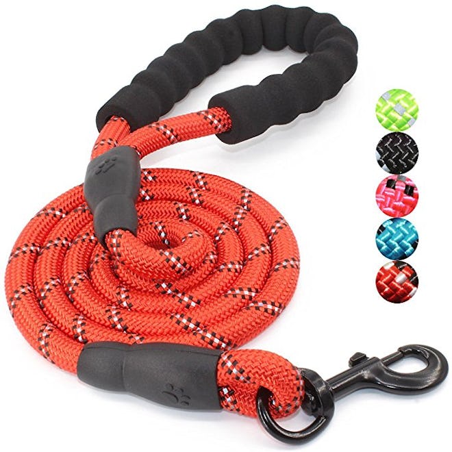 BAAPET Strong Dog Leash With Padded Handle