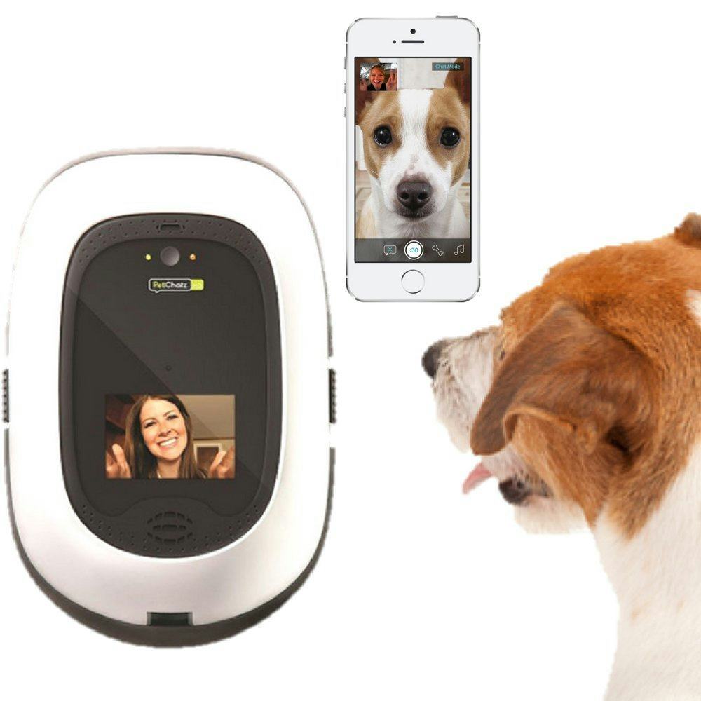 The 4 Best Pet Cameras