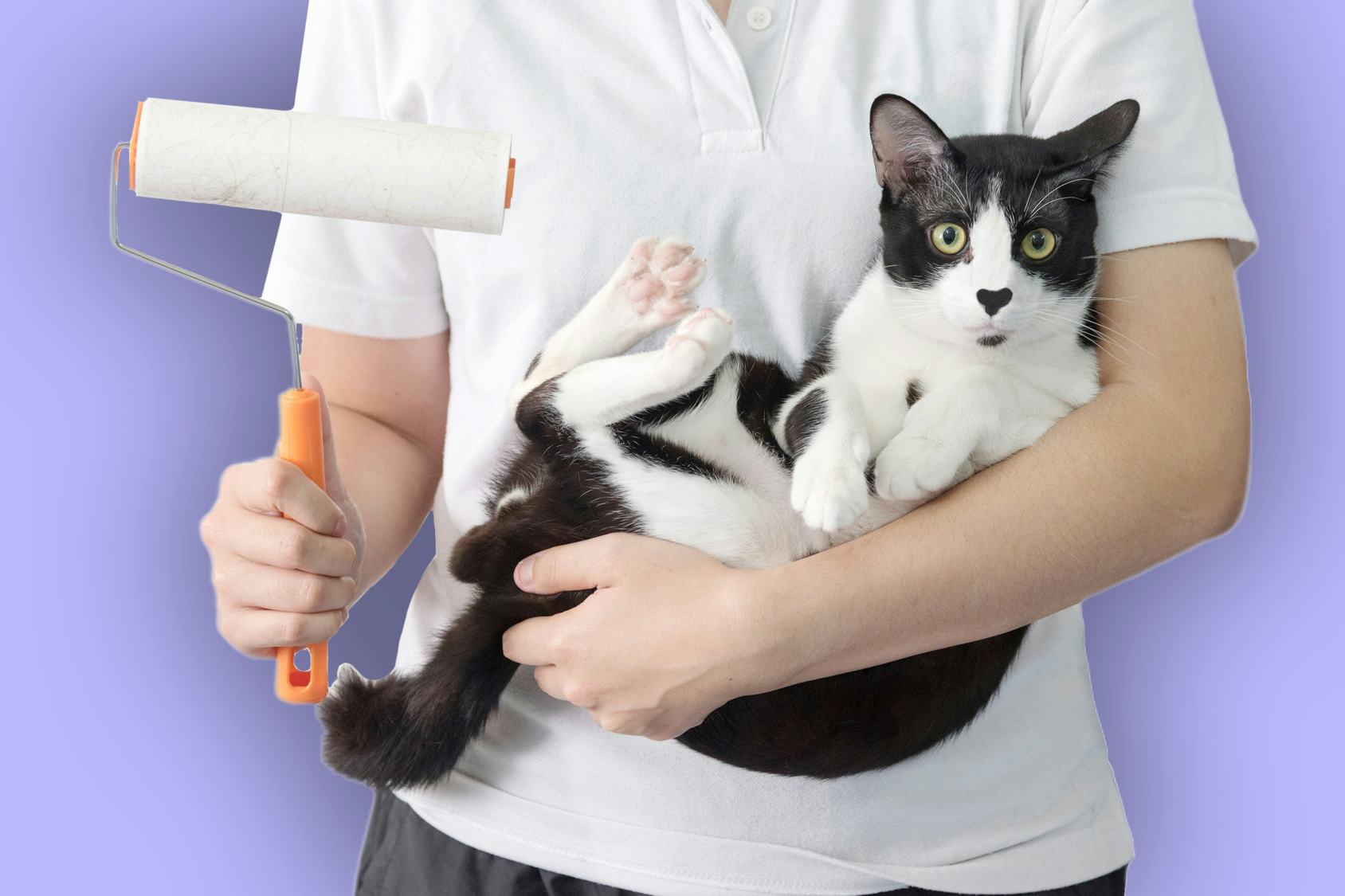 best lint roller for dog hair