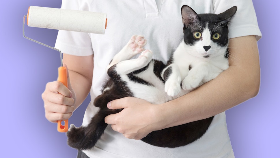 The 4 Best Lint Rollers For Pet Hair