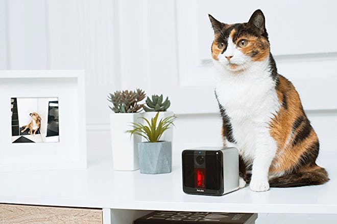 Petcube Play Pet Camera With Interactive Laser