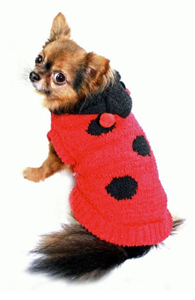 Hip Doggie Lady Bug Dog Sweater