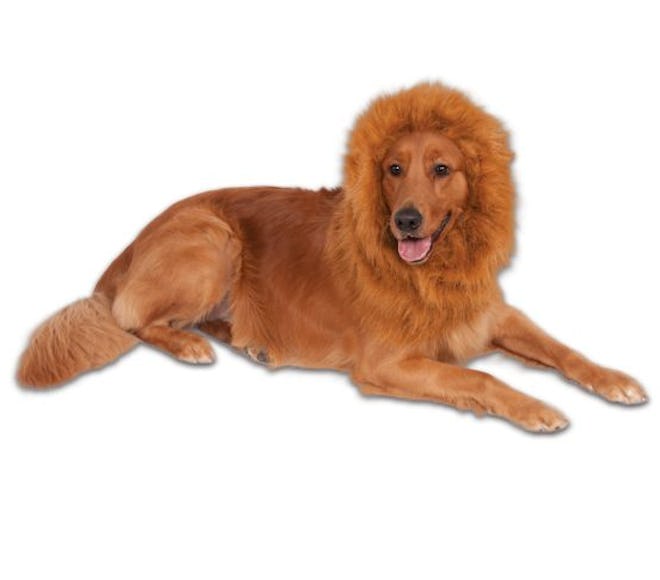 Rubie's Pet Shop Boutique® Halloween Lion Mane Pet Costume