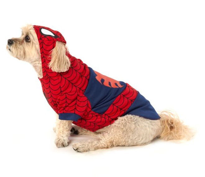 Marvel™ Comics Spider-Man Pet Costume
