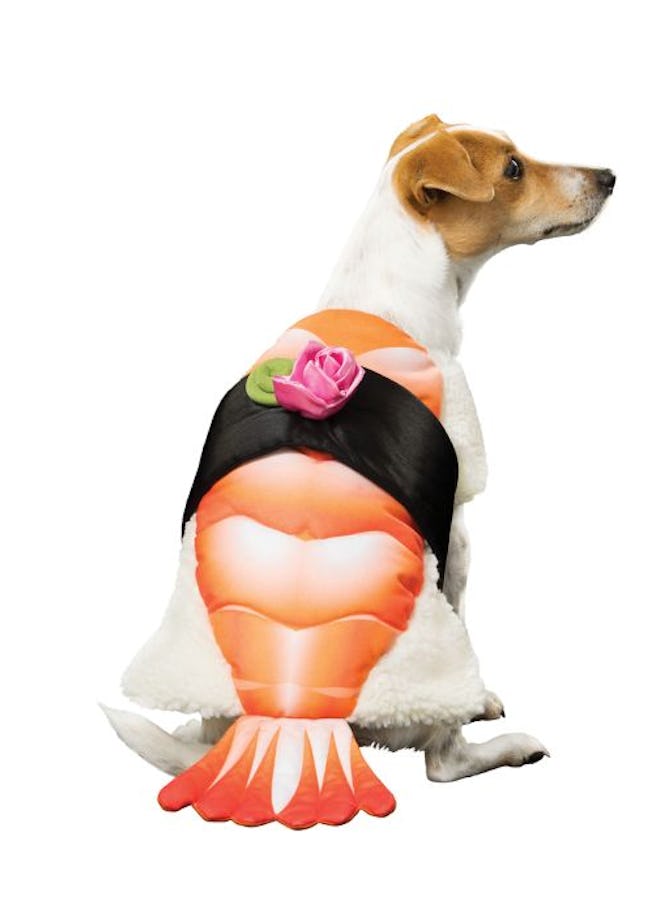 Thrills & Chills™ Halloween Sushi Pet Costume 