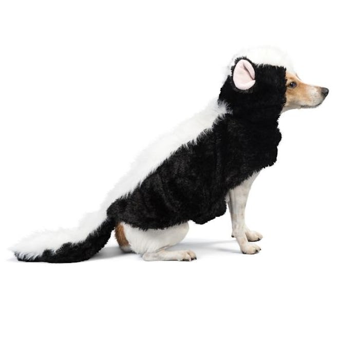 Thrills & Chills™ Halloween Skunk Pet Costume