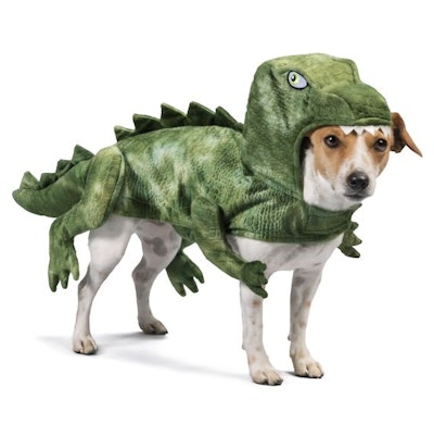 Thrills & Chills™ Halloween Dinosaur Pet Costume