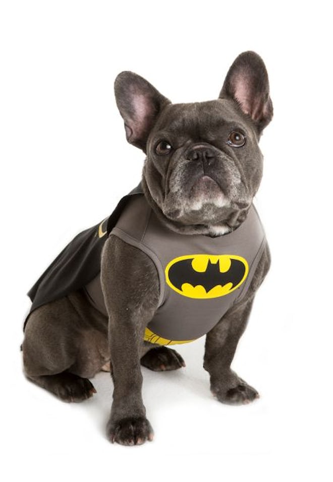DC Comics™ Batman Pet Costume 