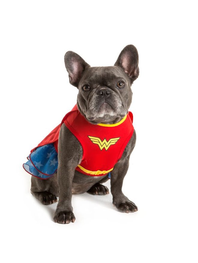 DC Comics™ Wonderwoman Dress Pet Costume