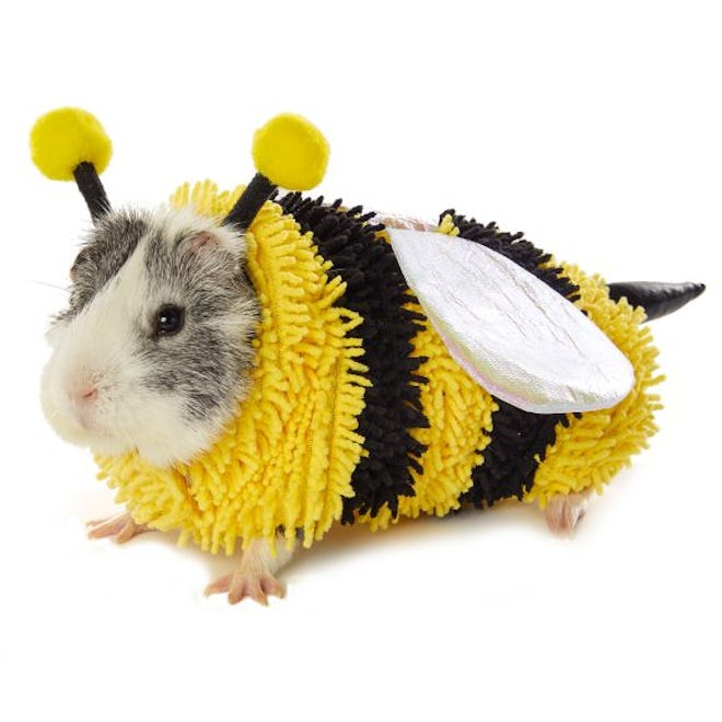Thrills & Chills™ Bumblebee Small Pet Costume