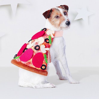 Pizza Dog Costume - Brown - Hyde and Eek! Boutique
