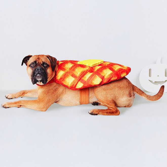 Waffle Dog Costume - Brown/Yellow - Hyde and Eek! Boutique