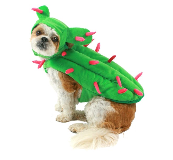 Cactus Dog Costume Set - Boots & Barkley™