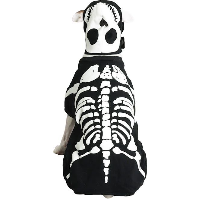 Casual Canine Glow Bones Costume