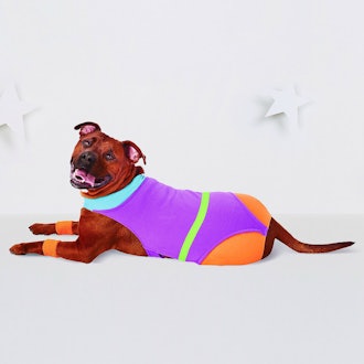 Aerobics Dog Costume - Hyde and Eek! Boutique