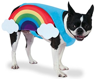 Rubie's Rainbow Pet Costume