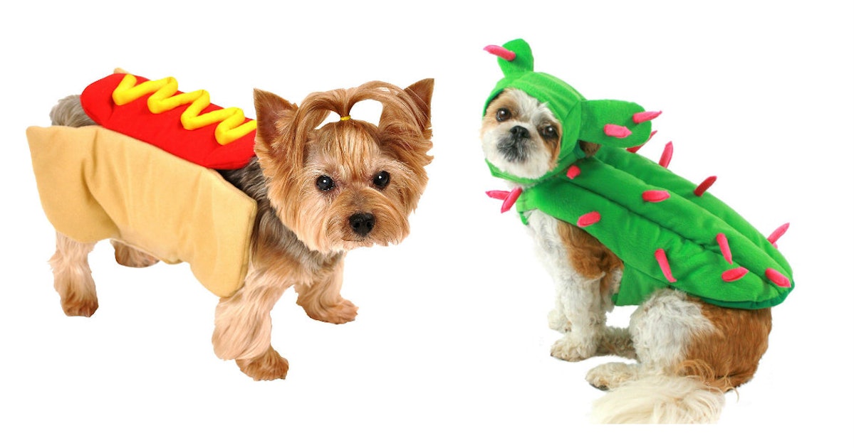 13 Halloween  2022 Costumes  For Small Dogs  That Are Both 